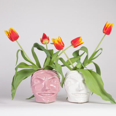 Link: a head vase